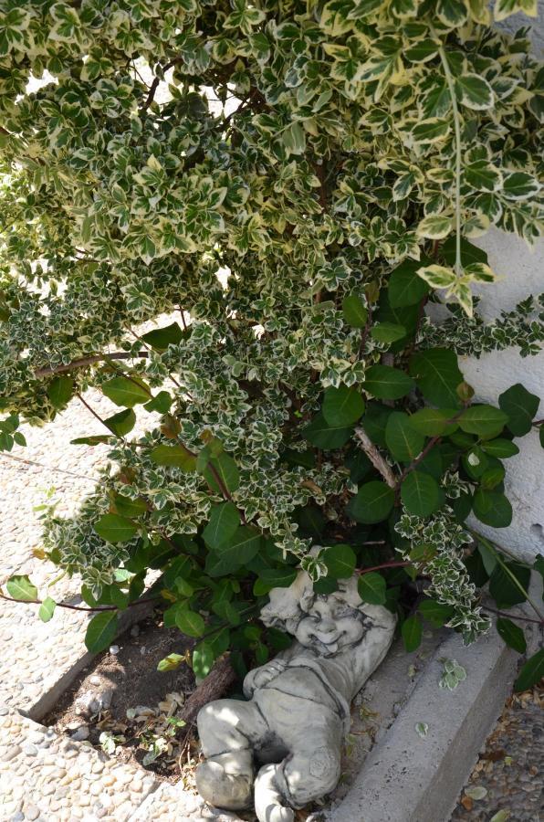 Heustubn Ferienwohnungen ウンケン エクステリア 写真